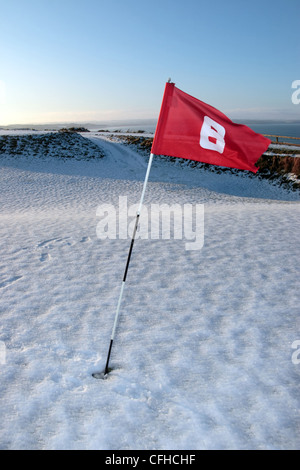 Flagge auf einer Schnee bedeckten Links-Golfplatz in Irland im winter Stockfoto