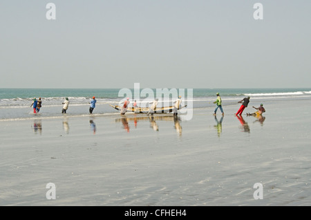 Lokale Fischer schleppen in Netzen aus dem Atlantik auf Kotu Strand Gambia Westafrika Stockfoto