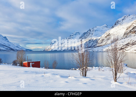 Schneebedeckte Berge und kleine rote Hütte Hütte im Dorf von Ersfjord, Kvaloya Island, Skandinavien Troms, Norwegen, Europa Stockfoto