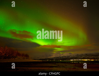 Aurora Borealis oder das Nordlicht gesehen über die Lyngen Alpen und Ullsfjord, Troms, Nord-Norwegen, Europa Stockfoto