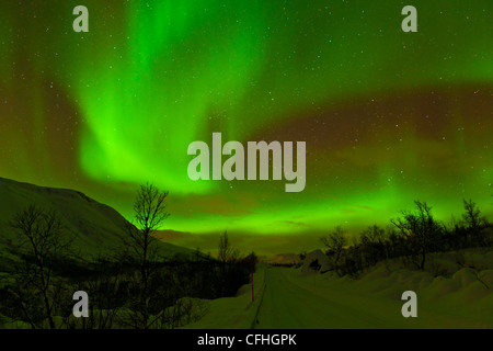 Aurora Borealis oder das Nordlicht gesehen über eine verschneite Straße, Troms, Nord-Norwegen, Europa Stockfoto