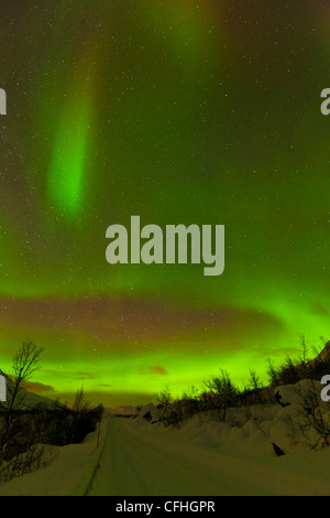 Aurora Borealis oder das Nordlicht gesehen über eine Schnee bedeckten Straße, Troms, Nord-Norwegen, Skandinavien Europa Stockfoto