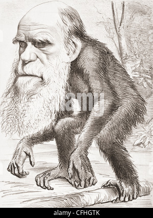 Charles Darwin 1809-1882. Englischer Naturforscher, hier dargestellt als ein Affe in einem Zeichentrickfilm im Hornet Magazin der 22. März 1871. Stockfoto