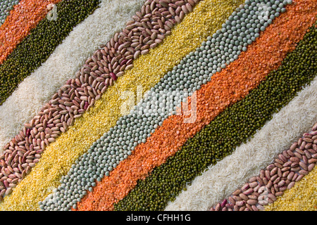 bunt gestreifte Reihen von getrockneten Bohnen, Hülsenfrüchte, Erbsen, Linsen Stockfoto