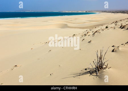 Blick auf das Meer über Sanddünen auf unberührten weißen sandigen Strand von Praia de Chaves, Rabil, Boa Vista, Kap Verde Inseln Stockfoto