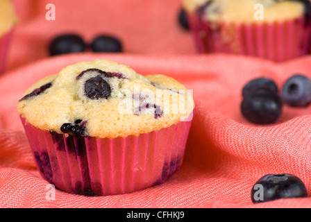 hausgemachte Blaubeeren Muffins über rosa Stoff und Früchte um Stockfoto