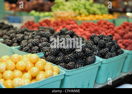 Obst stand mit einer Anzeige von Brombeeren auf Granville Island Farmers Market, Vancouver, British Columbia. Stockfoto