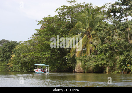 Touristen, die Kreuzfahrt der Tortuguero-Kanal westlich von Puerto Moin, Costa Rica Stockfoto