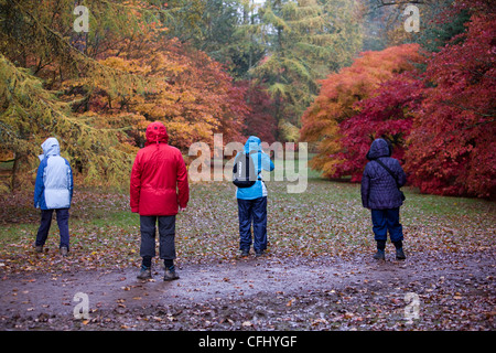 Besucher an einem Regen und nassen Herbsttag in The National Arboretum im Westonbirt Arboretum Stockfoto