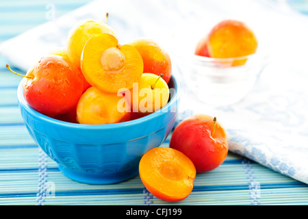 Frische gelbe reife Pflaumen in eine Schüssel geben Stockfoto