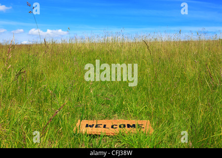 Foto von willkommen Fußabtreter Rasen Wiese an einem sonnigen Tag mit blauem Himmel und Sonnenschein. Stockfoto