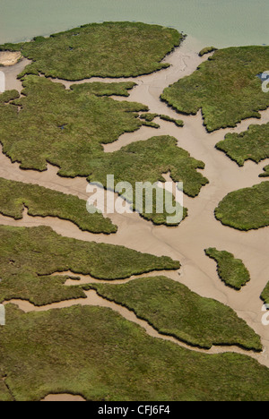 Luftaufnahme des Flusses führt größeren Fluss in Suffolk, East Anglia, Großbritannien, River Deben Stockfoto