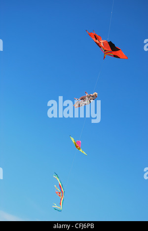 Reihe von bunten Drachen am blauen Himmel, freier Speicherplatz für text Stockfoto