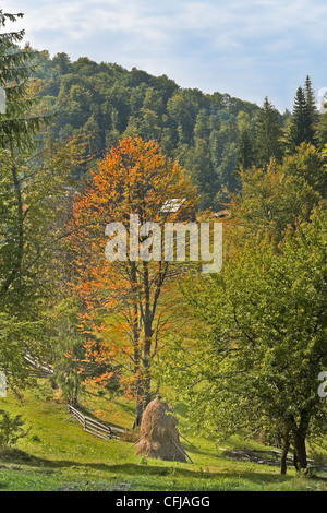 Frühe herbstliche Landschaft irgendwo im Apuseni-Gebirge, Rumänien. Stockfoto