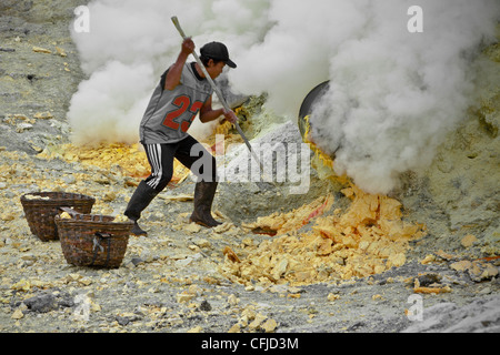 Schwefel Arbeiter  Kawa Ijen  Ijen  Plateau Ost Java 