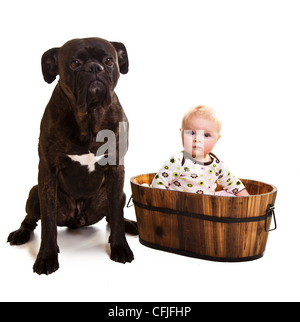 Kind mit großen Boxer Hund Stockfoto