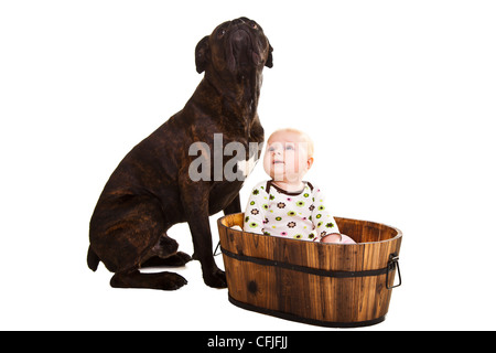 Kind mit großen Boxer Hund Stockfoto