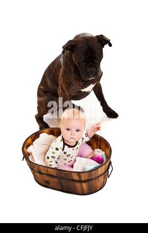 Kind mit großen Boxer Hund Stockfoto