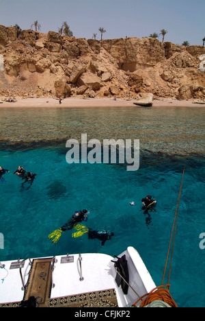 Taucher im Roten Meer, Sharm el-Sheikh, Ägypten, Nordafrika, Afrika Stockfoto