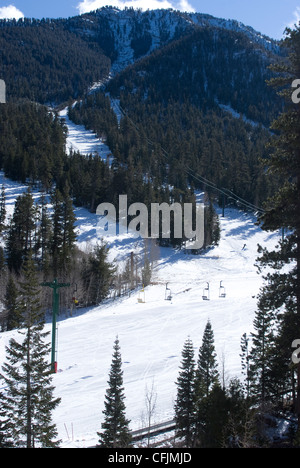 Las Vegas Ski und Snowboard Resort, Mount Charleston, in der Nähe von Las Vegas, Nevada, Vereinigte Staaten von Amerika, Nordamerika Stockfoto