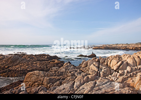 Der felsige Teil des Strandes im Norden von Asilomar State Park in der Nähe von Pacific Grove, Kalifornien Stockfoto