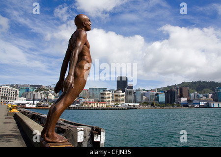 Trost in the Wind von Max Patte, Wellington, Nordinsel, Neuseeland, Pazifik Stockfoto