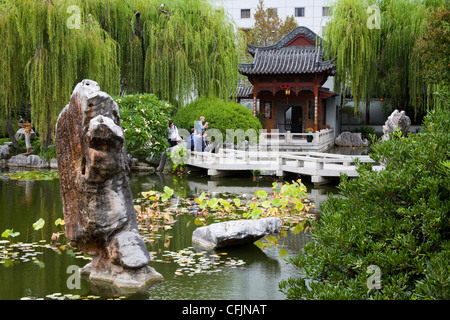 Chinese Garden of Friendship in Darling Harbour, Central Business District, Sydney, New South Wales, Australien, Pazifik Stockfoto