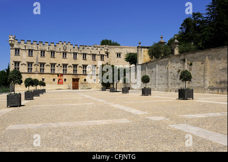 Musée du Petit Palais (Museum), Avignon, Provence, Frankreich, Europa Stockfoto