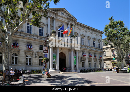 Hotel de Ville (Rathaus), Avignon, Provence, Frankreich, Europa Stockfoto