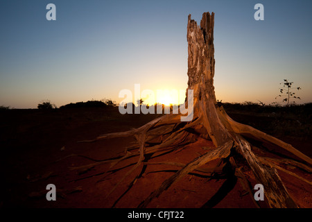 Sonnenaufgang in Sarigua Nationalpark (Wüste) in Herrera Provinz, Republik Panama. Stockfoto