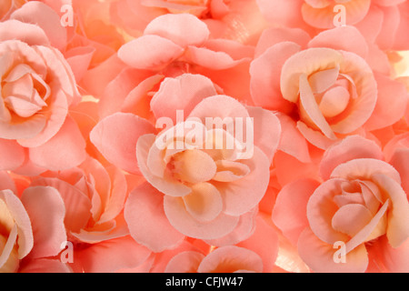 Zusammenfassung Hintergrund von roten Blumen Stockfoto