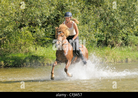 Junge Reiter auf der Rückseite ein Islandpferd im Galopp in die Isar südlich von München, Bayern, Deutschland Stockfoto