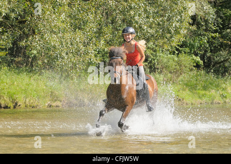 Teen Reiter auf der Rückseite ein Islandpferd im Galopp in die Isar südlich von München, Bayern, Deutschland Stockfoto