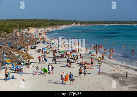 Platja des Trenc, Colonia de Sant Jordi, Mallorca (Mallorca), Balearen, Spanien, Mittelmeer, Europa Stockfoto