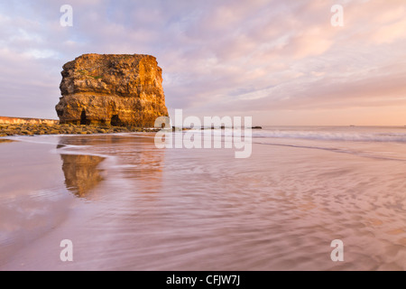 Marsden Rock, einem Kalkstein Meer Stapel in Marsden Bucht in der Nähe von South Shields und Whitburn, South Tyneside, England Stockfoto