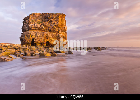 Marsden Rock in Marsden Bucht in der Nähe von South Shields und Whitburn, South Tyneside, England Stockfoto