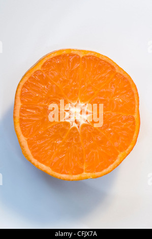 Studioaufnahme von einzelnen Clementine Orange halbieren, die sind eine Vielzahl von Mandarine, auf einem gedeckten weißen Hintergrund angezeigt Stockfoto