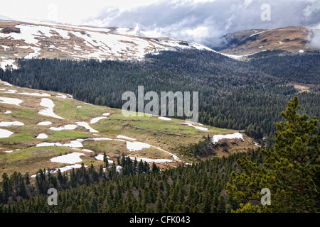 Bergplateau Lago-Naki in Adygea, Russland. Stockfoto