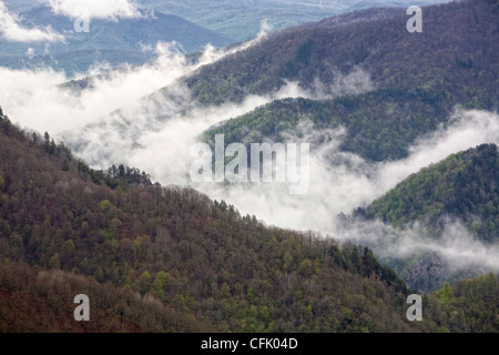 Nebel im Tal mit Wäldern bedeckten Bergen Stockfoto