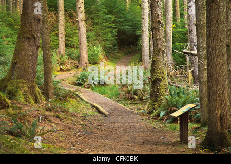 Oregon Coast Trail im Ecola State Park an der nördlichen Küste von Oregon. Stockfoto