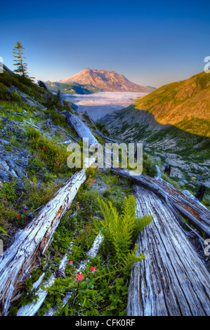 Mount Saint Helens und Spirit Lake aus Norwegen Pass Trail; Mount Saint Helens National Volcanic Monument, Washington. Stockfoto