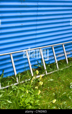 Eine Leiter lehnt an einem blauen Schuppen im Garten Stockfoto