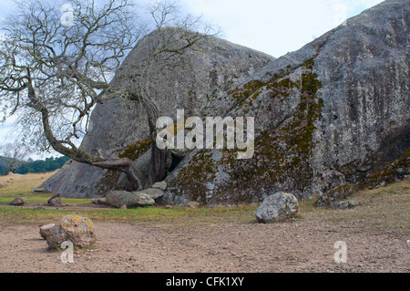 Große Felsen und Baum in das Tal der Rätsel in der Nähe von Tapalpa in Jalisco, Mexiko Stockfoto