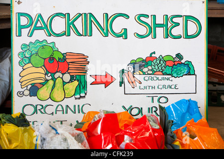 Wachsen mit Grace ist ein Bio-Obst und Gemüseanbau kooperative in Clapham in den Yorkshire Dales, UK Stockfoto