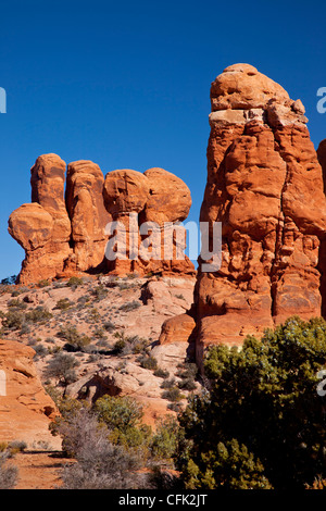 Garten Eden Rock-Formationen, Arches-Nationalpark, Moab, Utah, USA Stockfoto