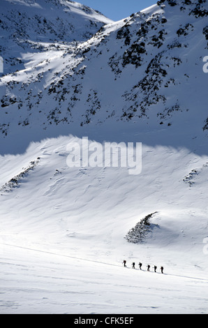 Kletterer aufsteigender Similaun Gipfel der Alpen an der Grenze Österreich/Italien. Stockfoto