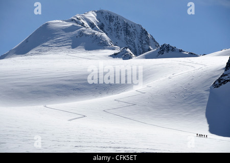 Kletterer aufsteigender Similaun Gipfel der Alpen an der Grenze Österreich/Italien. Stockfoto