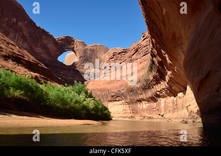 Stevens Bogen hoch an der Wand oben Escalante River, Utah. Stockfoto