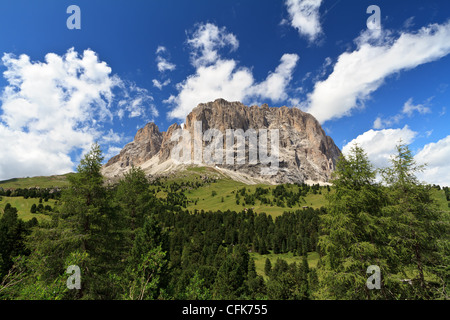 Am Sommer von Gröden, Dolomiten Langkofel montieren Stockfoto