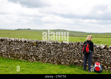 Beliebtes Wandergebiet hinter Gordale Narbe, in der Nähe von Malham, North Yokshire Dales National Park, Gt Großbritannien, UK Stockfoto